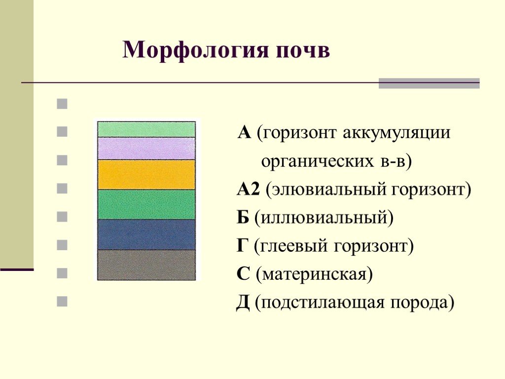 Признаки почв. Элювиальный почвенный Горизонт. Морфология почв. Понятие о морфологии почв. Строение почв морфология.