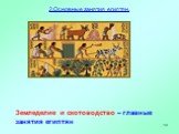 Земледелие и скотоводство – главные занятия египтян. 2.Основные занятия египтян.