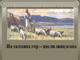 На склонах гор – пасли овец и коз