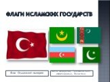 Флаги исламских государств. Флаг Османской империи. Флаги Маритании, Туркменистана, Азербайджана, Пакистана