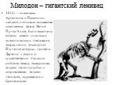 Милодон – гигантский ленивец. 1832г. – в пампасах Аргентины и Патагонии, найдено и описано множество ископаемых форм. Возле Пунта-Альте, были выкопаны остатки девяти гигантских млекопитающих (мегатерия, макраухении, токсодона). Изучение которых, привело Дарвина к мысли о существовании близкого родст