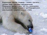 Выражение «белый медведь – хозяин Арктики» - сегодня лишь красивое преувеличение. Природных врагов у него нет, но с появлением на Крайнем Севере человека эра безраздельного властвования хищника канула в Лету.