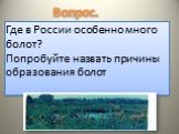 Где в России особенно много болот? Попробуйте назвать причины образования болот