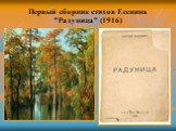 Первый сборник стихов Есенина "Радуница" (1916)