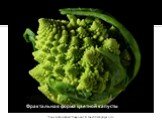 Фрактальная форма цветной капусты