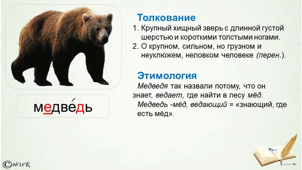 Какие звуки произносит медведь. Происхождение слова медведь. Этимология слова медведь. Просхождениеслова медведь. Словарное слово медведь.
