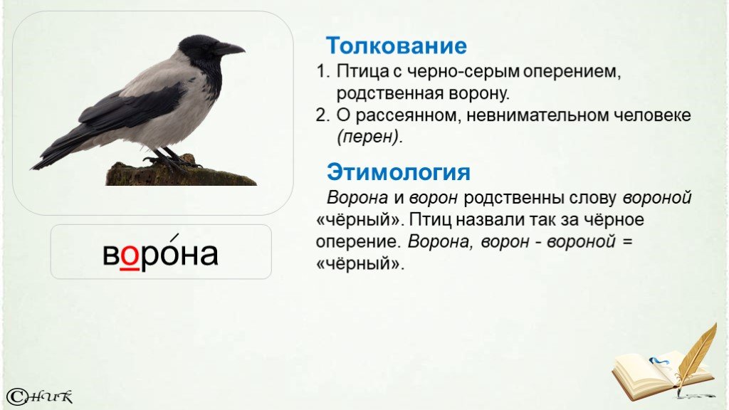 Черным черно текст. Слово ворона. Ворона этимология. Ворон происхождение слова. Птица с черным или серым оперением.