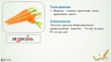 Толкование Морковь – овощно ерастение, овощ оранжевого цвета Этимология Исконно русское общеславянского происхождения (праслав. *mъrky: мъркы, Р.п. мъркъве)