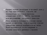 Ядерне пальне розміщене в активній зоні у вигляді вертикальних стрижнів, які називаються тепловиділяючими елементами (ТВЕЛ). ТВЕЛи призначені для регулювання потужності реактора. Маса кожного паливного стрижня значно менша за критичну, тому в одному стрижні ланцюгова реакція відбуватися не може. Вон