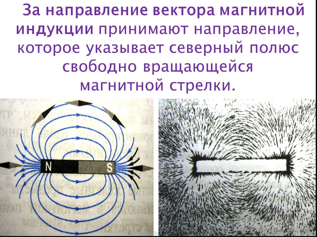 Ученик получил фотографии на которых изображены картины линий магнитного поля