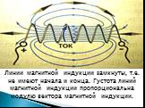 Линии магнитной индукции замкнуты, т.е. не имеют начала и конца. Густота линий магнитной индукции пропорциональна модулю вектора магнитной индукции.