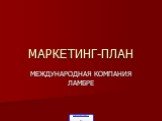 МАРКЕТИНГ-ПЛАН. МЕЖДУНАРОДНАЯ КОМПАНИЯ ЛАМБРЕ