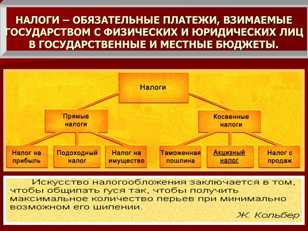 Налоги обязательные платежи физических и юридических лиц государству составьте план