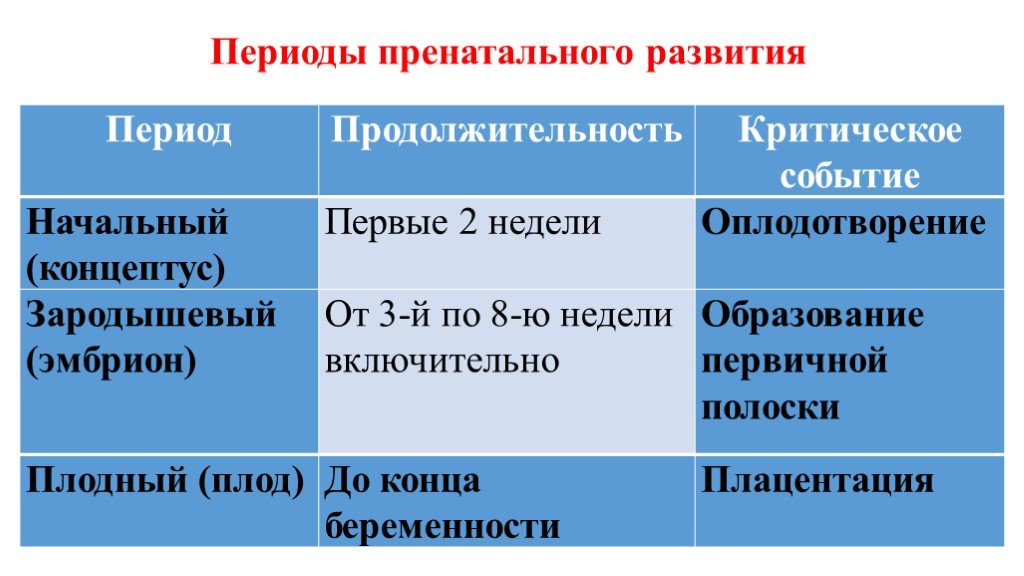 Периоды развития. Пренатальный период развития это. Пренатальный период периодизация. Стадии пренатального развития. Критические периоды пренатального периода развития.