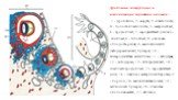 Дробление, гаструляция и имплантация зародыша человека : 1 - дробление; 2 - морула; 3 - бластоциста; 4 - полость бластоцисты; 5 - эмбрио-бласт; 6 - трофобласт; 7 - зародышевый узелок:а - эпибласт;б - гипобласт; 8 - оболочка оплодотворения; 9 - амниотический (эктодермальный) пузырек; 10 - внезародыше
