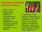 Морковь посевная Daucus sativus. Родина желтых и белых сортов: Средняя Азия, оранжевых: Средиземноморье двулетнее, редко однолетнее и многолетнее растение семейства зонтичных (сельдерейных) выращивают около 4000 лет. в корнеплодах много каротина (в оранжевых в 9 раз больше, чем в желтых), витаминов 