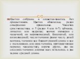 Цветки собраны в соцветия-завитки, без прицветников. Цветки обоеполые, редко совершенно правильные. Чашечка сростнолистная, о 5 (редко 4 или 6-7) зубчиках, лопастях или надрезах; венчик изомерен с чашечкой, он воронковидный, блюдчатый, или колосовидный; число тычинок равно числу долей венчика, тычин