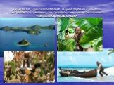 Однодневные туры на близлежащие острова Карибского бассейна: Сент-Винсент и Гренадины, где проходили съёмки известного фильма «Пираты Карибского моря»