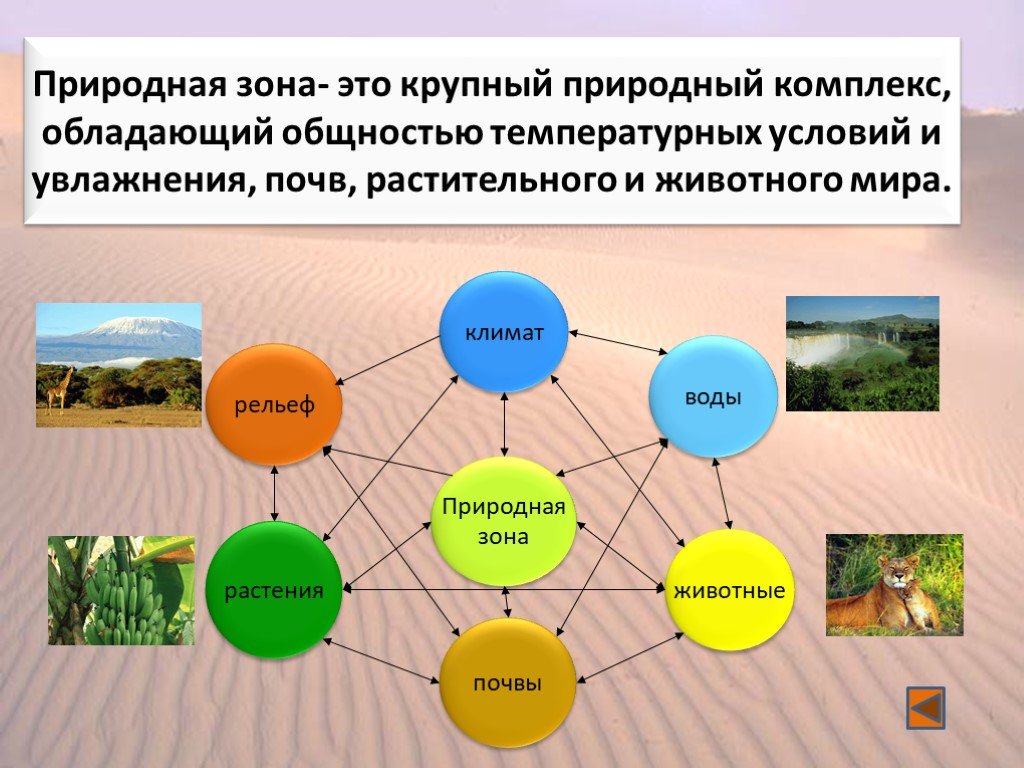 Другие природные компоненты. Взаимосвязь компонентов природы. Природные комплексы. Схема природного комплекса. Компонент природного комплекса.
