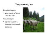 Тваринництво. Спеціалізація: молочно-м’ясне скотарство Локалізація: карпатський та прикартпатський регіони