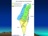 Растительность Израиля Слайд: 2