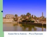Храм бога Амона – Ра в Луксоре