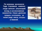 По мнению археолога Тода Соровила, именно люди внесли решающий вклад в исчезновение мамонтов. Наши далекие предки охотились за ними ради мяса, шкуры и бивней.