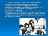 Во время оккупации фашисты зверствовали. Нависла угроза репрессий и по отношению к раненым, но действовать открыто они пока не решались. На первых порах было объявлено, что среди раненых много больных тифом, не поддающихся лечению. В середине октября 1942 года часть раненых вместе с медицинским перс