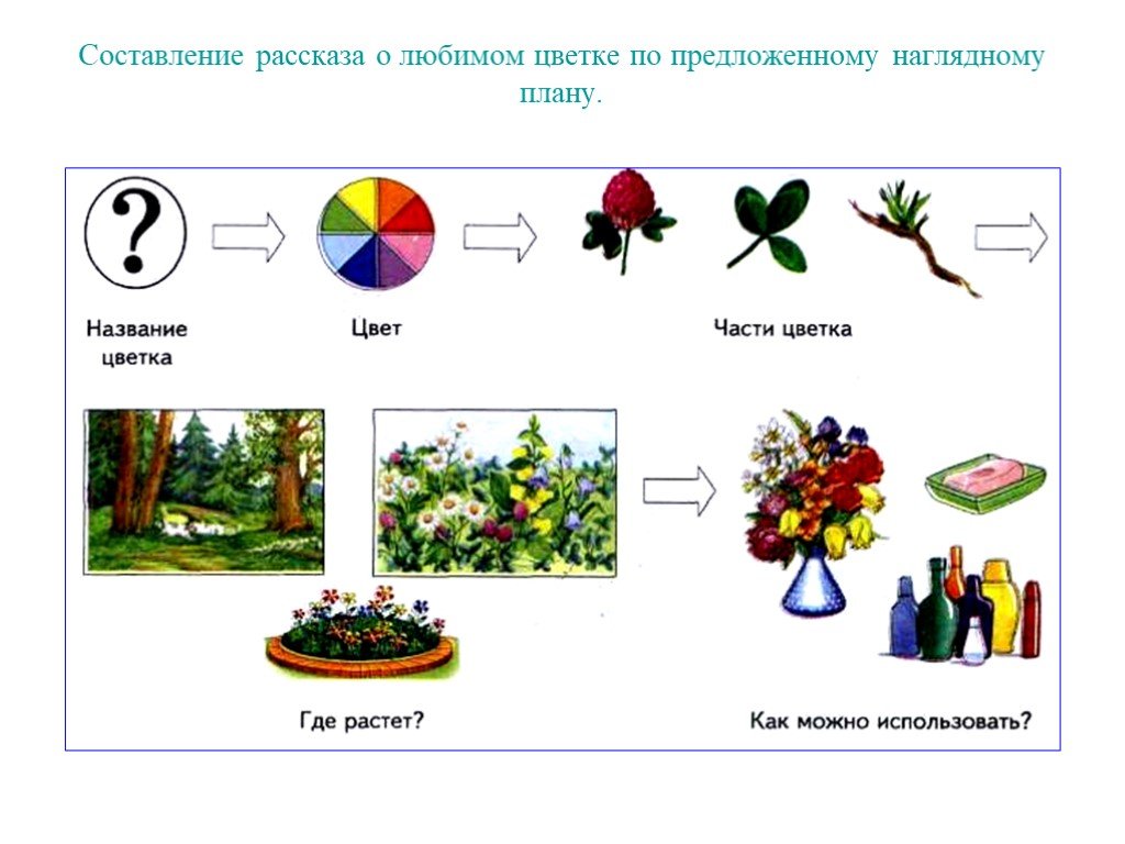 Составление рассказа по плану