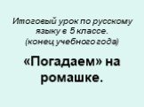 Итоговый урок по русскому языку в 5 классе. (конец учебного года). «Погадаем» на ромашке.