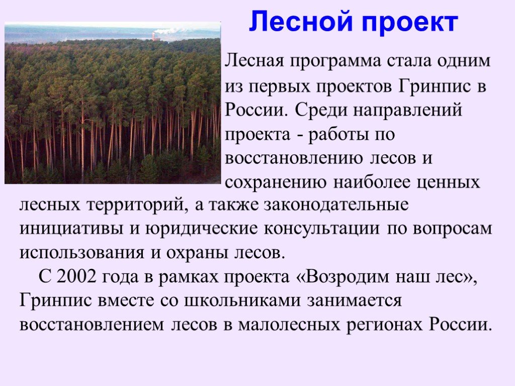 Гринпис лесной. Сообщение на тему сохранение лесов. Проект лесов. Сохранение леса проект. Гринпис Лесной проект.