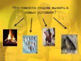 Что помогло людям выжить в новых условиях?