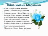 Если в Марианнин день снег упадет, зима не скоро настанет. Зодиак имени - Весы. Планета — Сатурн. Цвет имени - зеленый. Благоприятное дерево — клен. Заветное растение - георгин. Покровитель имени — павлин. Камень-талисман — зеленая яшма. Уменьшительные формы: Марьянка, Мара, Янка, Марьяша.