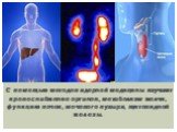 С помощью методов ядерной медицины изучают кровоснабжение органов, метаболизм желчи, функцию почек, мочевого пузыря, щитовидной железы.