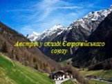 Австрія у складі Європейського союзу. Австрія у складі Євпропейського союзу