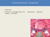 Ретроцервикальный эндометриоз. Первичный Вторичный (диатермокоагуляция - органическое поражение нервных сплетений)