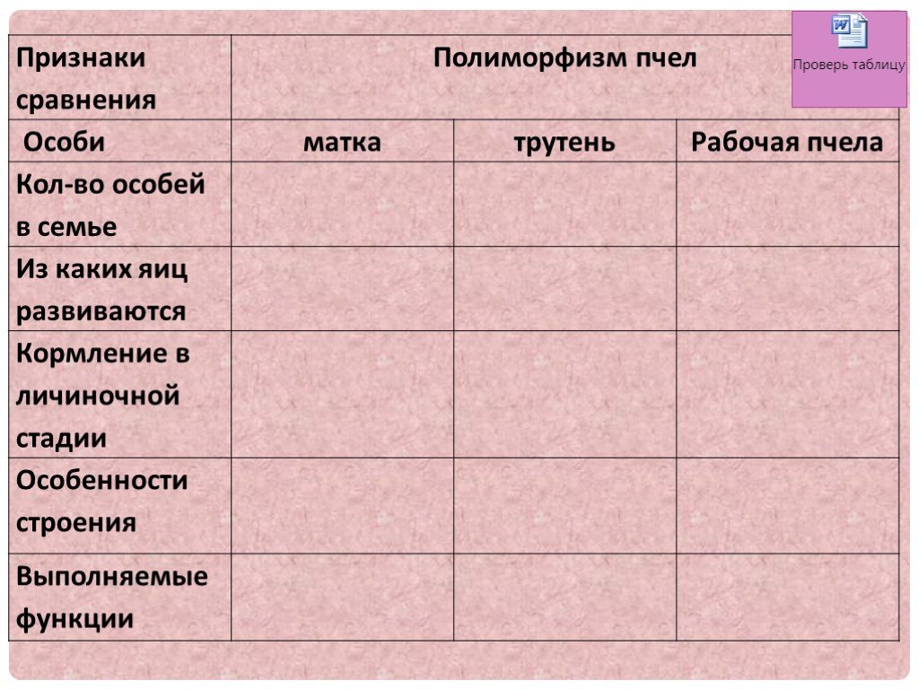 Сравни признаки. Характеристика особей пчелиной семьи матка. Полиморфизм пчел таблица. Таблица характеристика пчелиной семьи. Признаки сравнения пчёл.