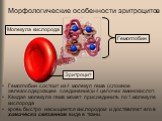 Морфологические особенности эритроцитов. Гемоглобин состоит из 4 молекул гема (сложное железосодержащее соединение)и 4 цепочек аминокислот. Каждая молекула гема может присоединить по 1 молекуле кислорода кровь быстро насыщается кислородом и доставляет его в химически связанном виде в ткани. Молекула