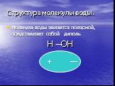 Структура молекулы воды. Молекула воды является полярной, представляет собой диполь Н ОН. +