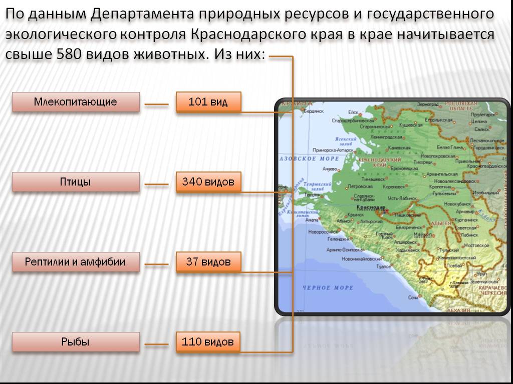 Какой размер краснодарского края. Природные ресурсы Краснодарского края. Природные богатства Краснодарского края. Карта полезных ископаемых Краснодарского края. Данные Краснодарского края.