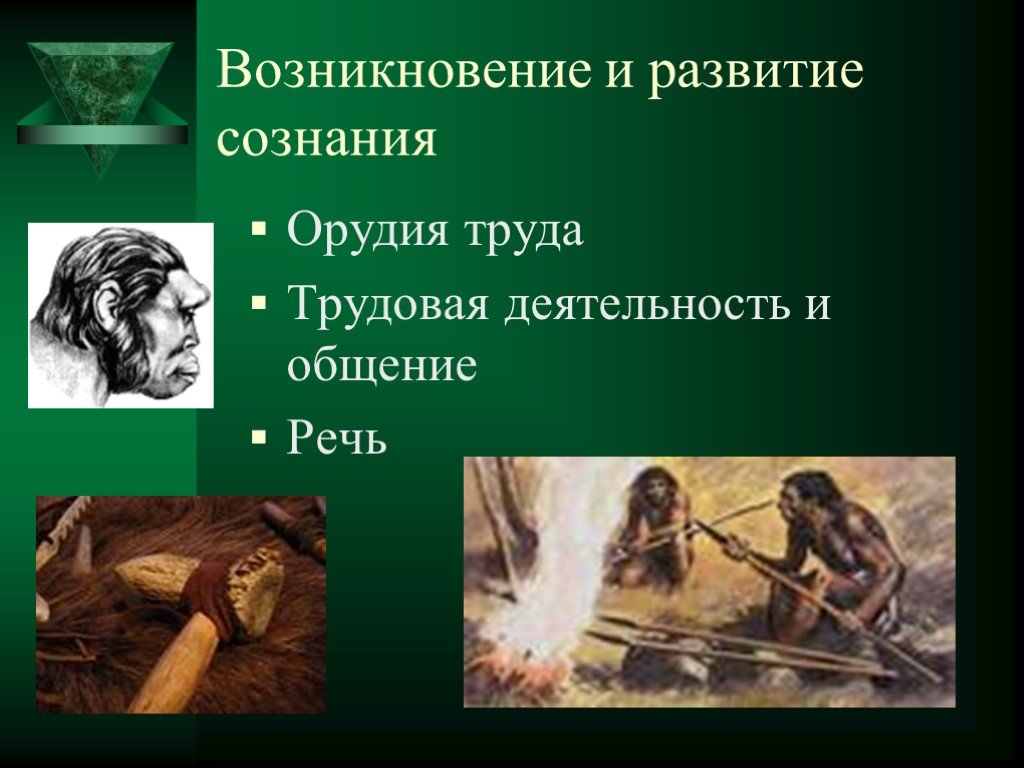 Историческое развитие сознания. Возникновение сознания. Происхождение и развитие сознания. Возникновение и развитие сознания человека. Трудовая деятельность и возникновение сознания..