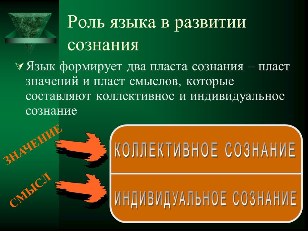 Сознание и язык. Роль речевой деятельности в развитии сознания. Роль языка в формировании сознания. Значение языка в становлении и функционировании сознания. Роль языка в сознании человека.