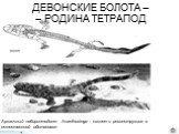 Архаичный лабиринтодонт Acanthostega : скелет и реконструкция в естественной обстановке