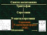 Синтез мелатонина. Триптофан Серотонин N-ацетилсеротонин Мелатонин. Серотонин N-ацетилтрансфераза (NAT)