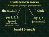 Clock-гены человека. Кодируют факторы транскрипции. mPer1 и mPer2 очень чувствительны к свету. per 1, 2, 3 (period) cry 1, 2 (cryptochrome) bmal-1 (=mop3) clock tim (timeless)