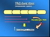 Wall shear stress (напряжение сдвига). Ингибиторы NOS