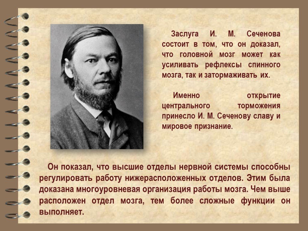 Презентация сеченов вклад в медицину