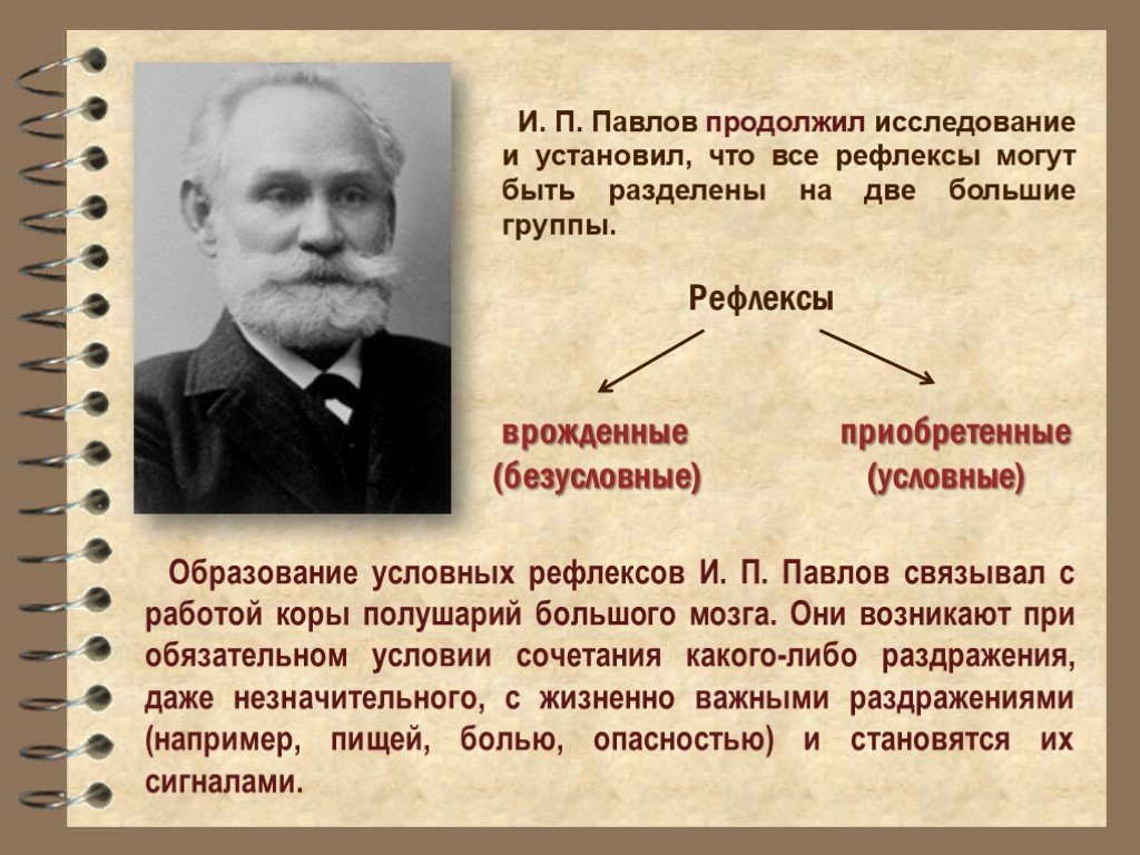 В каком году снедзен впервые употребил термин метод проектов