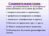 Соединительная ткань - ткань, развивающаяся из мезодермы и выполняющая следующие функции: опорную (костная и хрящевая), трофическую (жировая и лимфа), защитную (лимфоидная и кровь). 1) Клетки не прилегают друг к другу. 2) Много межклеточного вещества. 3) Отличается большим разнообразием клеток.