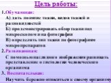 Цель работы: 1.Обучающая: А) дать понятие ткани, видов тканей и разновидностей Б) продемонстрировать обзор ткани под микроскопом и на фотографии В) определять тип ткани по фотографиям микропрепаратов 2.Развивающая: С помощью наглядного изображения развивать представление о гистологии человеческого о